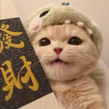 Ảnh đại diện người dùng Trần Minh